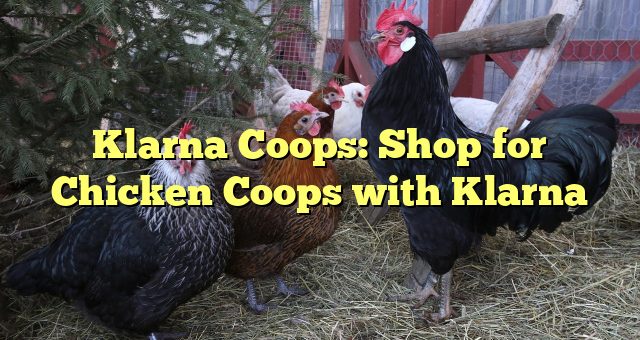 Klarna Coops: Shop for Chicken Coops with Klarna 